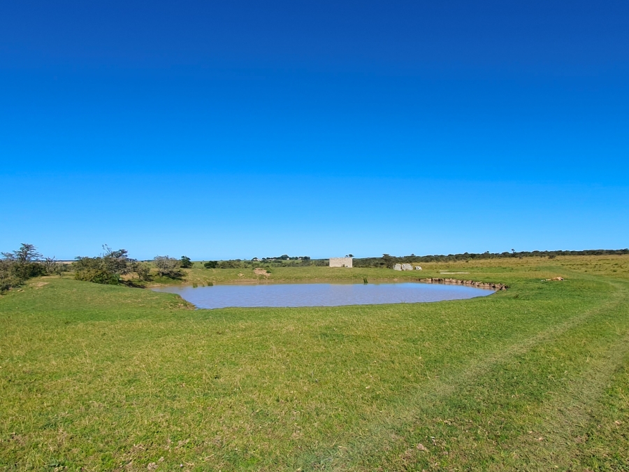 5 Bedroom Property for Sale in Grahamstown Central Eastern Cape